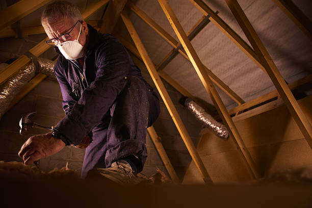 Best Insulation for Commercial Buildings  in Oxford, NC